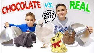 REAL VS CHOCOLATE FOOD CHALLENGE - Real Tricks or Chocolate?