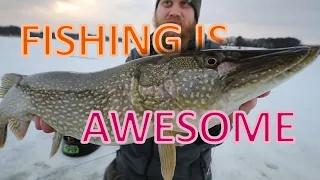 Fishing Is Awesome Compilation February 2020