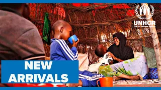 Drought and conflict force 80,000 to flee Somalia for Kenya's Dadaab refugee camps