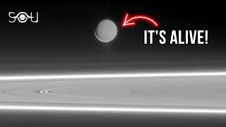 NASA Just Confirmed: All Life Elements Found on Saturn's Moon Enceladus
