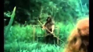 Robin of Sherwood The  Two Robins