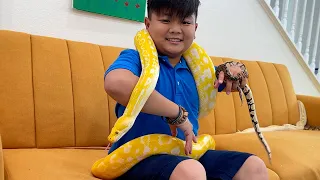 Alex and Eric Gets New Pet Animals | Learn About Wild Animal Reptiles
