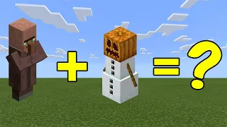 I Combined a Villager and a Snow Golem in Minecraft - Here's WHAT Happened...