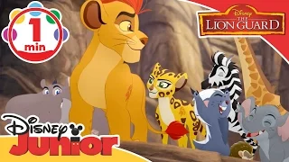 Lion Guard | Here Comes The Lion Guard Sing-A-Long | Disney Junior UK
