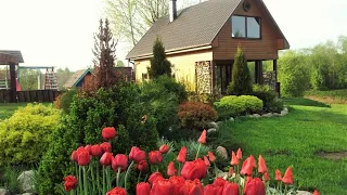 Прекрасные идеи для озеленения садового участка / DIY landscaping ideas