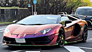 A Lamborghini equipped with a Gintani exhaust roars through the gingko tree-lined avenue!!!"