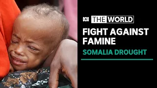 Somalia faces its worst famine in decades as drought deepens | The World