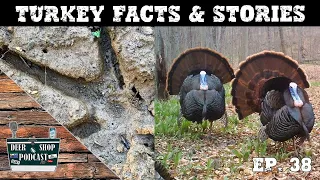 Wild Turkey Facts & Stories | Hunting Gobblers In Ohio | The Deer Shop Podcast | Episode 38