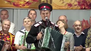 Алексей Медведев и К - "Вы любите гармонь"