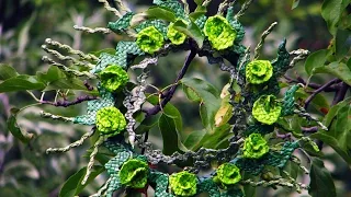 Garland for Kupala Night woven with recycled newspapers.  Part 1.