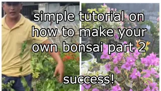simple tutorial how to create your own bonsai part 2