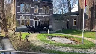 Uitvaart met zwarte rouwkoets en Friese paarden. www.stalhouderijhazeleger.nl