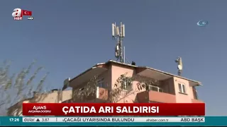 2 İşçi Arıların saldırısına uğradı. Çatıda mahsur kaldılar.