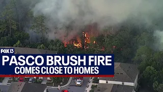 Port Richey brush fire comes dangerously close to homes