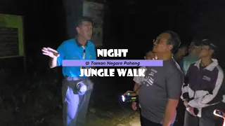 Night Jungle Walk @ Taman Negara Pahang (3D 2N Package - Day 1/3)