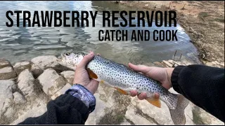 Fishing Strawberry Reservoir (Catch & Cook)