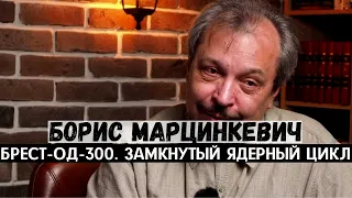 Борис Марцинкевич. БРЕСТ-ОД-300. Замкнутый ядерный цикл