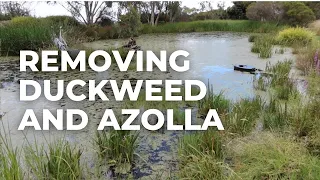 ProSkim: Remove Duckweed and Azolla Floating Weeds