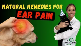 Natural Remedies For Treating Ear Pain In Dogs And Cats