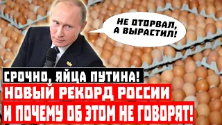 Срочно, яйца Путина! Новый рекорд России и почему об этом не говорят!