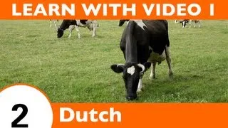 Learn Dutch with Video - Learning Dutch Vocabulary for Farm Animals Has Never Been More Fun!