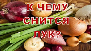 К чему снится ЛУК? Толкование сновидений.