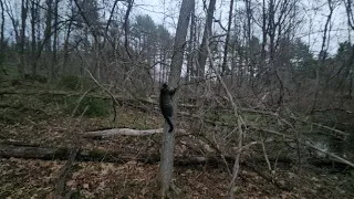 Badass Unlikely Hiking Partner