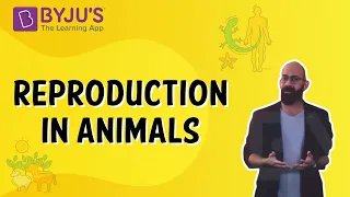 Reproduction in Animals | Class 4 | Learn With BYJU'S