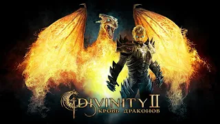 Divinity II: Кровь драконов | #2