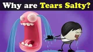 Why are Tears Salty? + more videos | #aumsum #kids #science #education #children