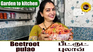 BEETROOT PULAO / GARDEN TO KITCHEN #seetha #cooking #biriyani #garden