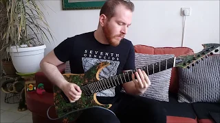 Opeth - The Leper Affinity Solo #opeth #ormsbyguitars