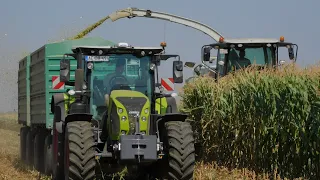 Silózás a Milkmen Kft.-nél 🚜🌽