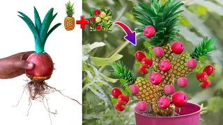 Techniques for grafting mix Apples with Pineapple Get more fruit than expected