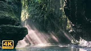 Rivers, Creeks, Lakes and Ponds of the World 4k with running water sounds