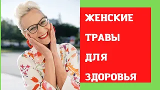 ТРАВЫ ДЛЯ ЖЕНЩИН ПРИ КЛИМАКСЕ