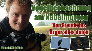 Vogelbeobachtung am Nebelmorgen - Von FREUDE bis ÄRGER alles dabei! 😡😍 #natur #nature #vögel #umwelt