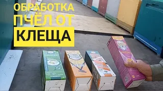 Контрольная обработка пчёл муравьиной кислотой от клеща