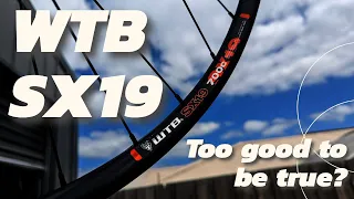 Cheapest and Best Budget 700c Wheelset? WTB SX19 Disc Wheelset Review