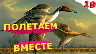 12,5 МИНУТ ЛУЧШИХ ПРИКОЛОВ // ТЕСТ НА ПСИХИКУ / ЛОВИ ПОЗИТИВЧИК // МАРТ 2019 #19