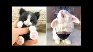 Cutest baby animals Videos Compilation Cute moment of the Animals - Cutest Animals #14