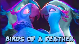 BIRDS OF A FEATHER // Blu & Jewel Edit