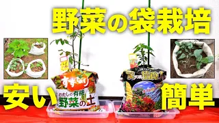 【袋栽培】安く簡単にたくさん収穫する方法とコツ【家庭菜園ベランダ菜園】