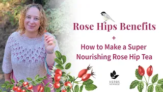 Rose Hips Benefits + How to Make Rose Hip Tea for the Most Benefits