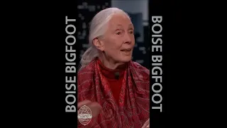 Jane Goodall on Jimmey Kimmel | #shorts #bigfoot #sasquatch | boisebigfoot