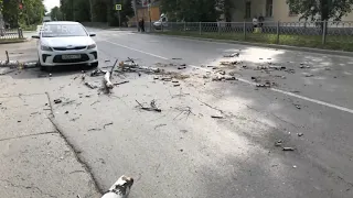 Береза упала на машину, ехавшую по дороге в Екатеринбурге