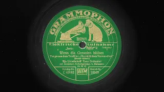 Wenn die Geranien blühen *1930 - Ilja Livschakoff Tanz-Orchester, Leo Monosson