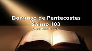 Salmo 103 - Domingo de Pentecostes