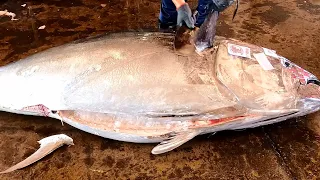 Superg-iant Bluefin Tuna Perfect and Fast Cutting Skill