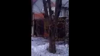 29.01.2015 г.Ясиноватая. Попадание снаряда со стороны Авдеевки (Вид со стороны дороги)